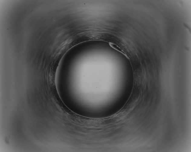 X0000091490044200708231431