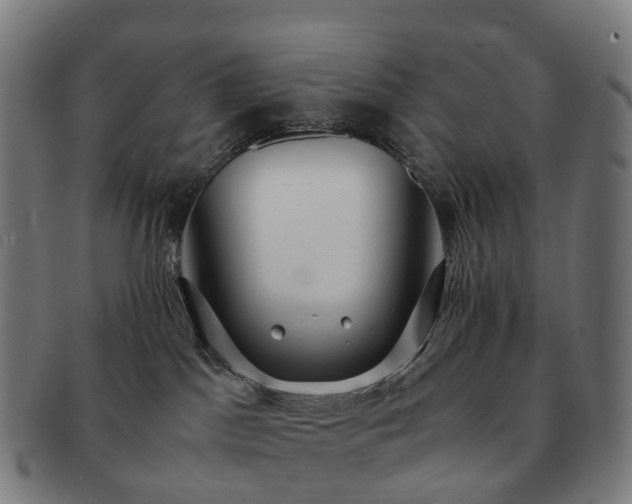 X0000091490045200708231431