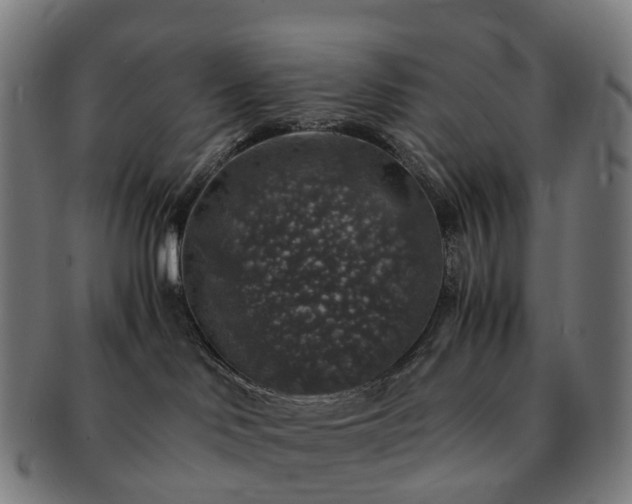 X0000091490046200708231431