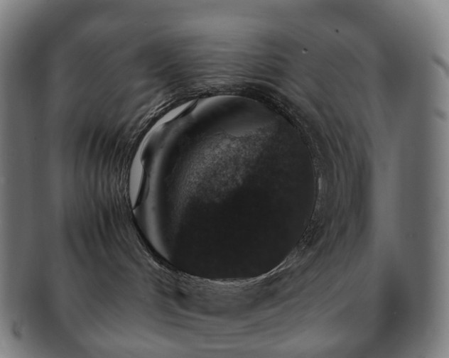 X0000091490048200708231431