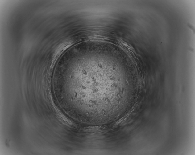 X0000091490049200708231430