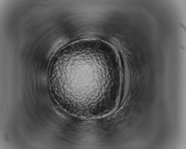 X0000091490050200708231430