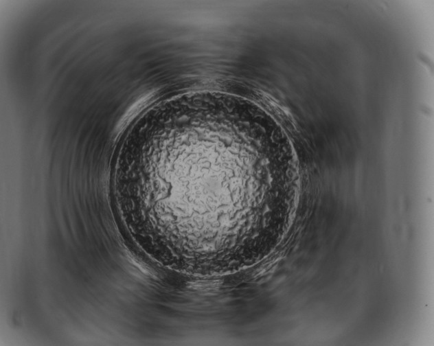 X0000091490051200708231431