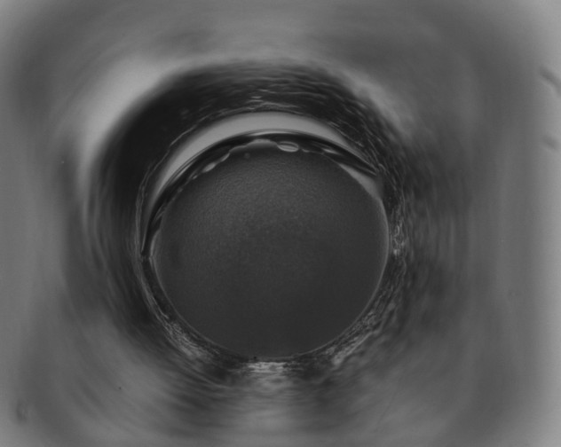 X0000091490052200708231431