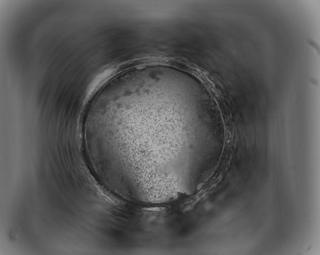 X0000091490053200708231431