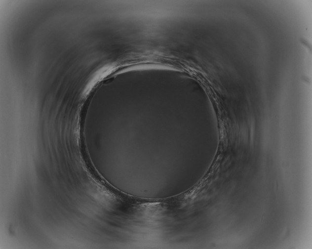 X0000091490054200708231431