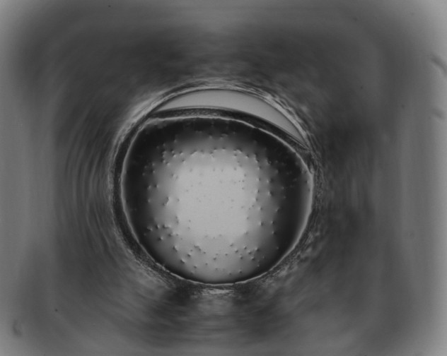 X0000091490055200708231431