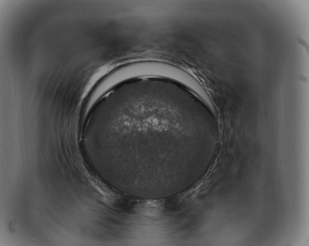 X0000091490056200708231431