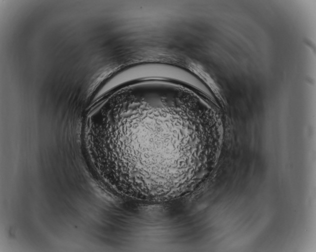 X0000091490058200708231431