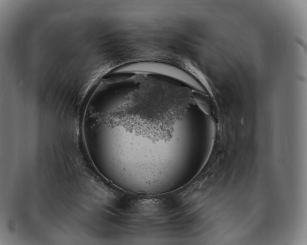 X0000091490059200708231431