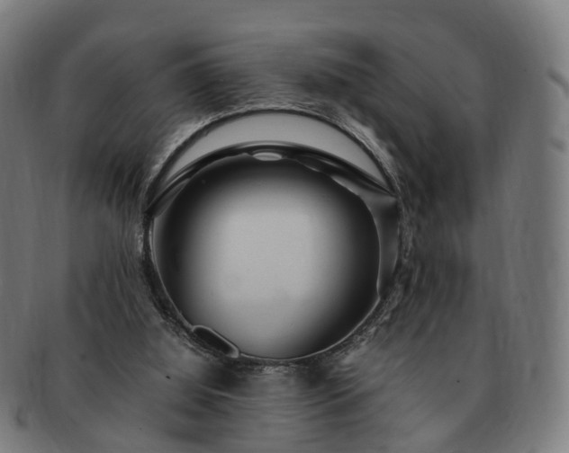 X0000091490060200708231431