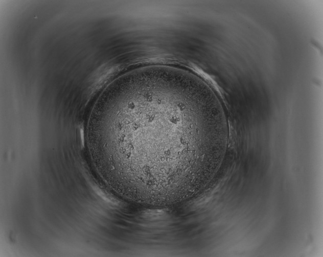 X0000091490061200708231431