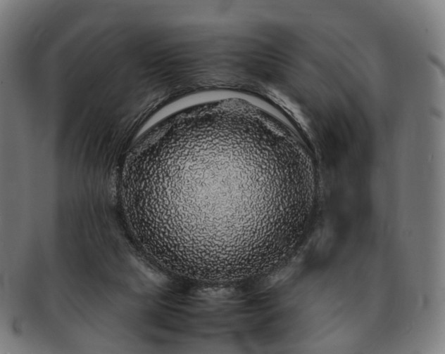 X0000091490065200708231431