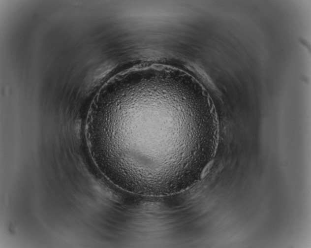 X0000091490066200708231431