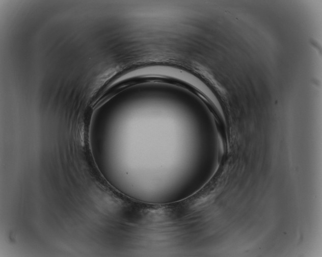 X0000091490068200708231431