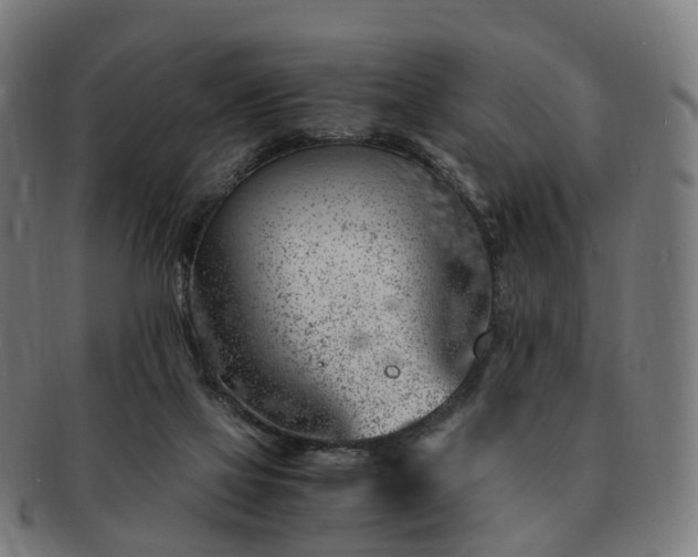 X0000091490069200708231431