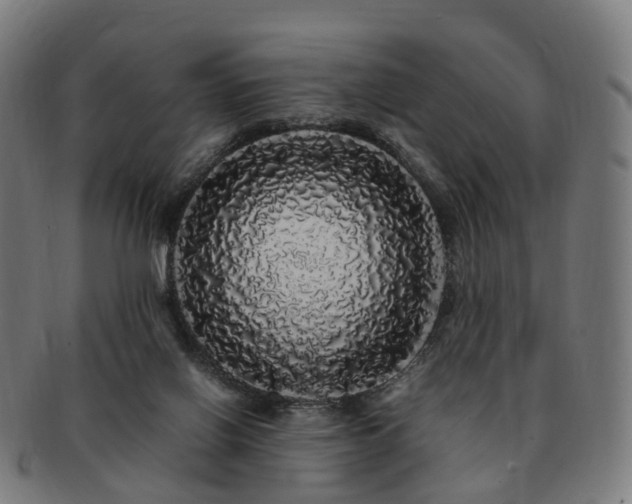 X0000091490070200708231431