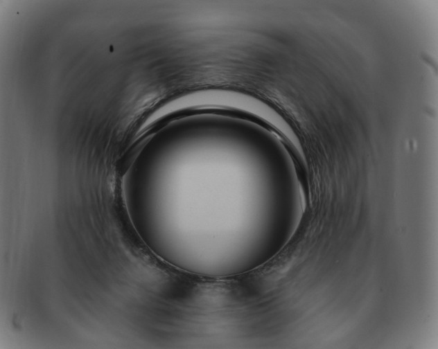 X0000091490072200708231431