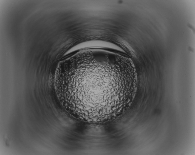 X0000091490073200708231431