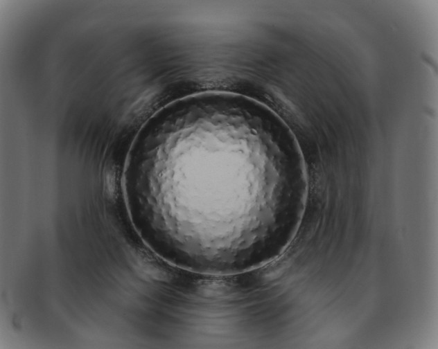 X0000091490074200708231431