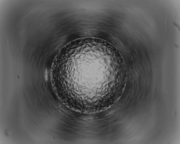 X0000091490075200708231431