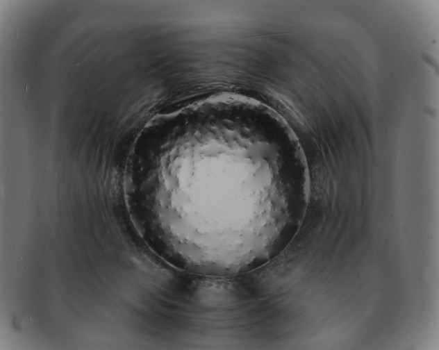 X0000091490077200708231431