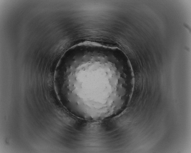 X0000091490078200708231431