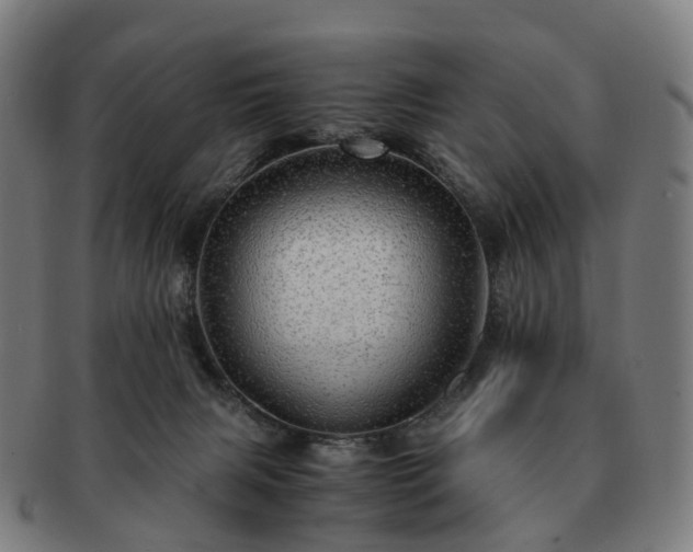 X0000091490079200708231431