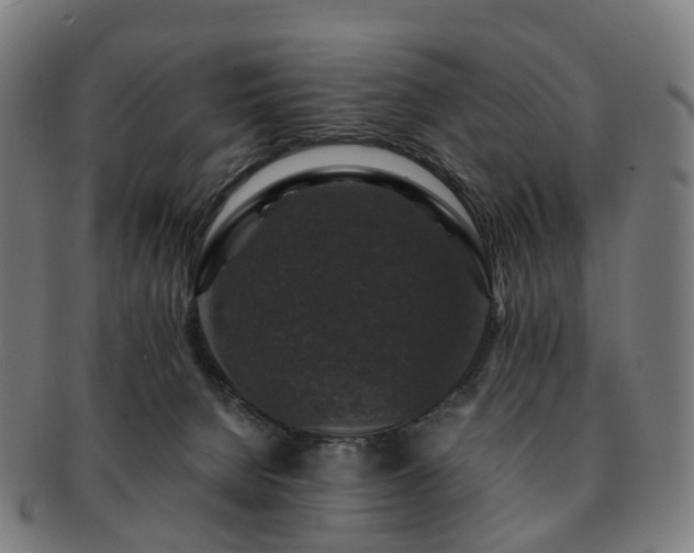 X0000091490080200708231431