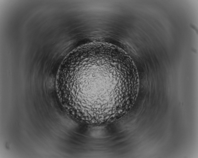 X0000091490081200708231431