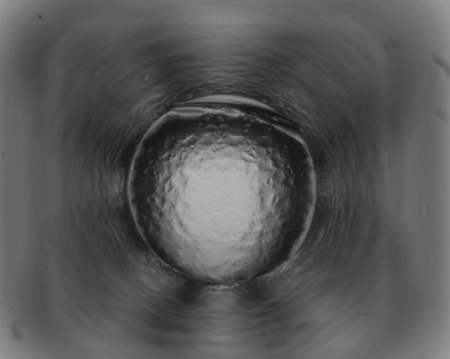 X0000091490082200708231431