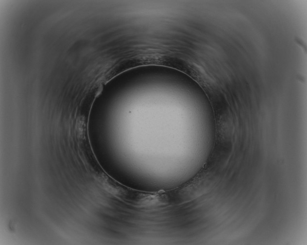 X0000091490083200708231431