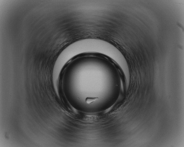 X0000091490084200708231431