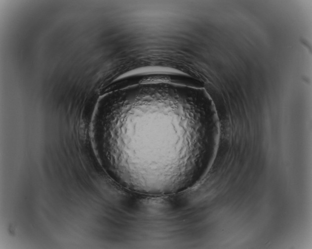 X0000091490086200708231431