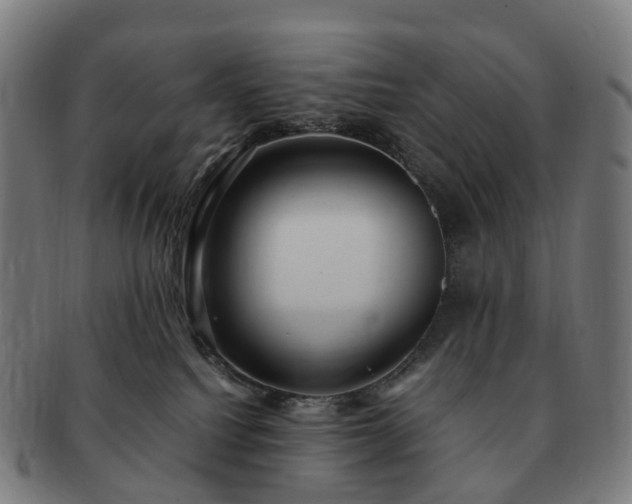 X0000091490088200708231431