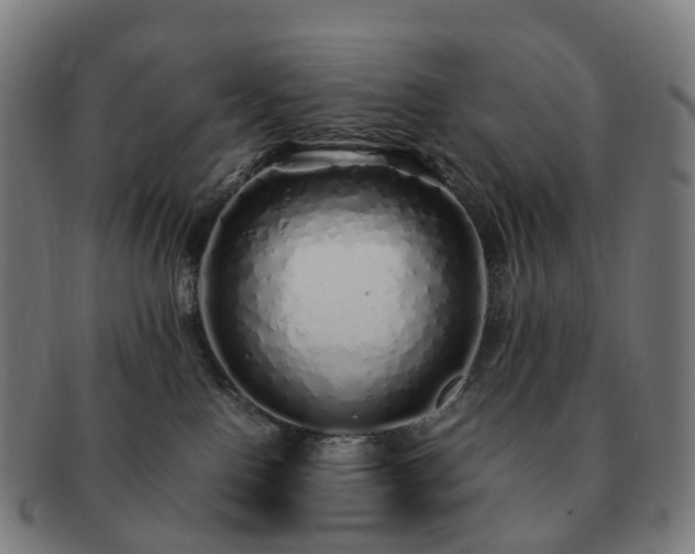 X0000091490090200708231431