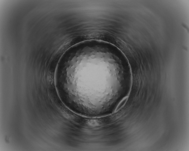 X0000091490091200708231431