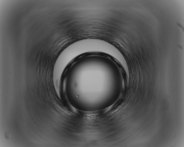 X0000091490092200708231431