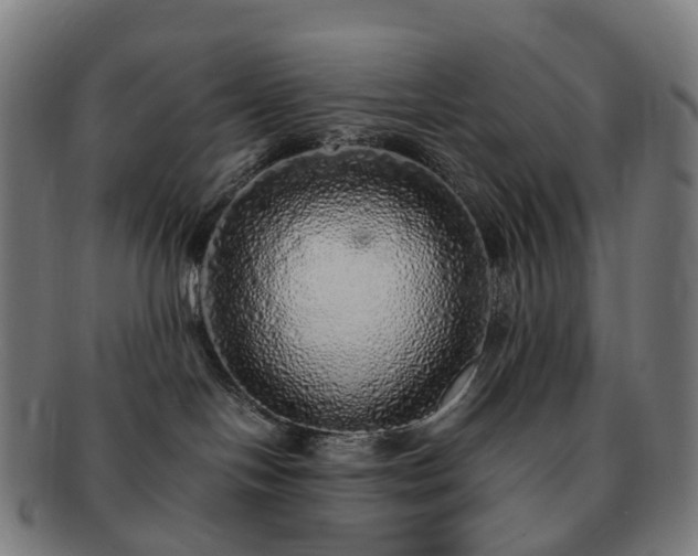 X0000091490094200708231431