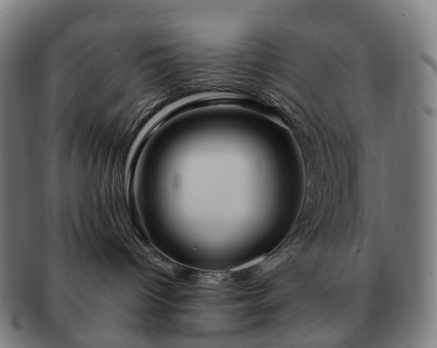 X0000091490096200708231431