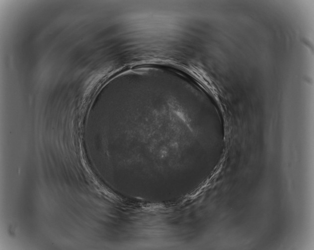 X0000091490097200708231430