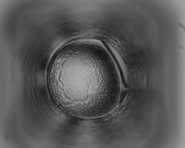 X0000091490100200708231430