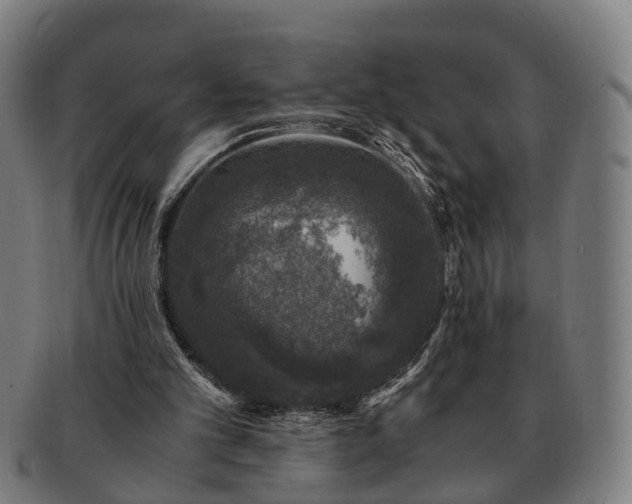 X0000091490101200708231430