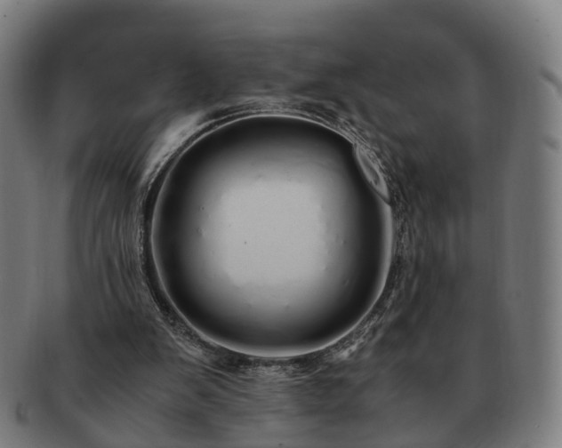 X0000091490103200708231430