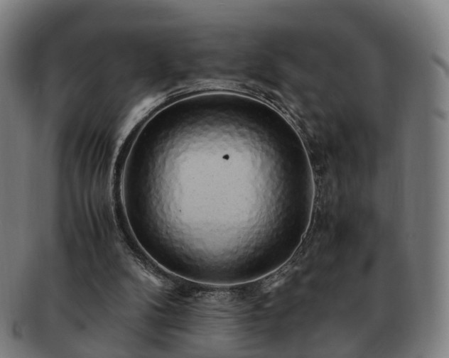 X0000091490104200708231430