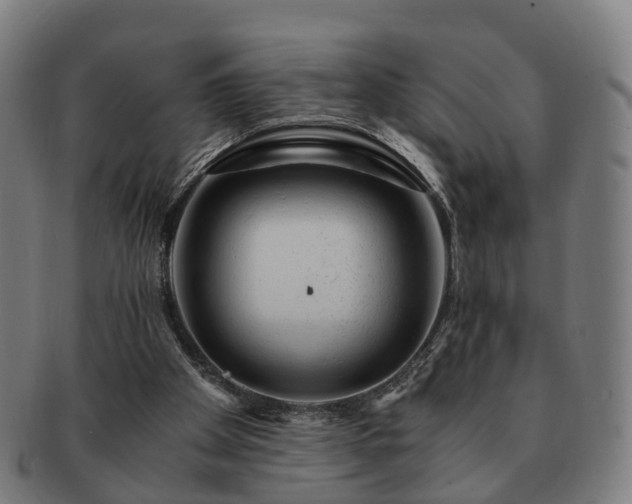 X0000091490105200708231430