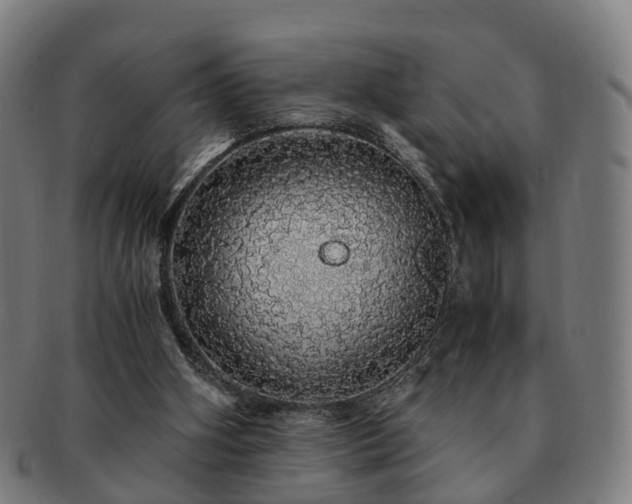 X0000091490106200708231430