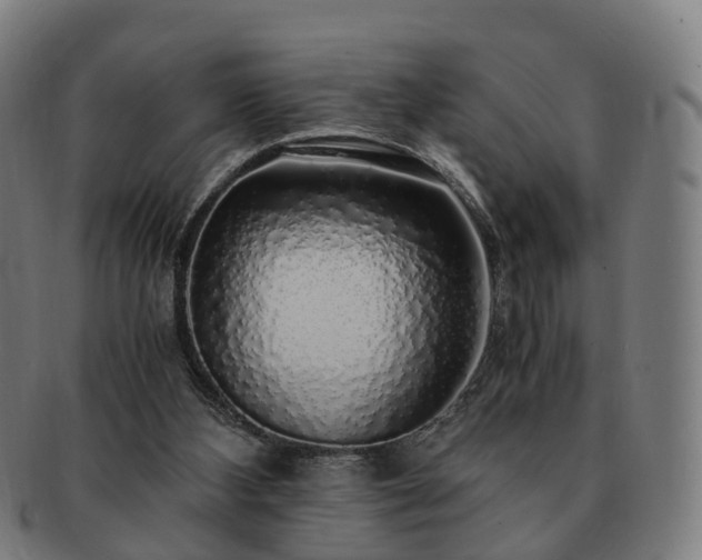 X0000091490108200708231430