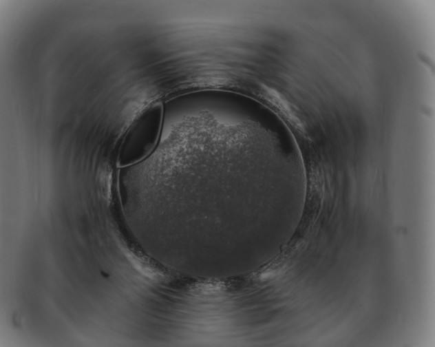 X0000091490110200708231430