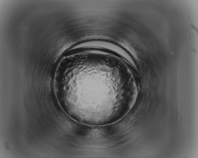 X0000091490111200708231430